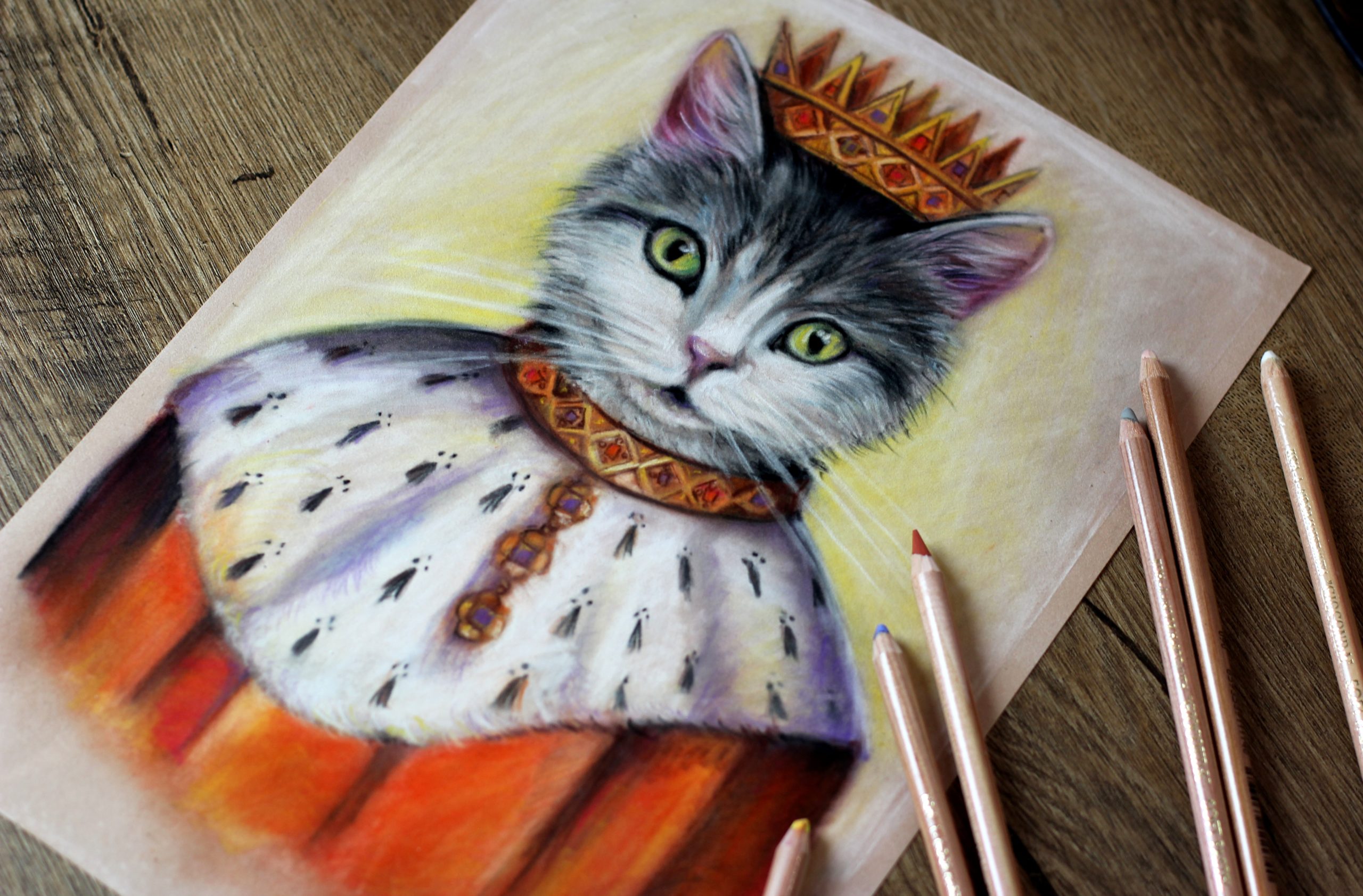 portret kota w kolorze